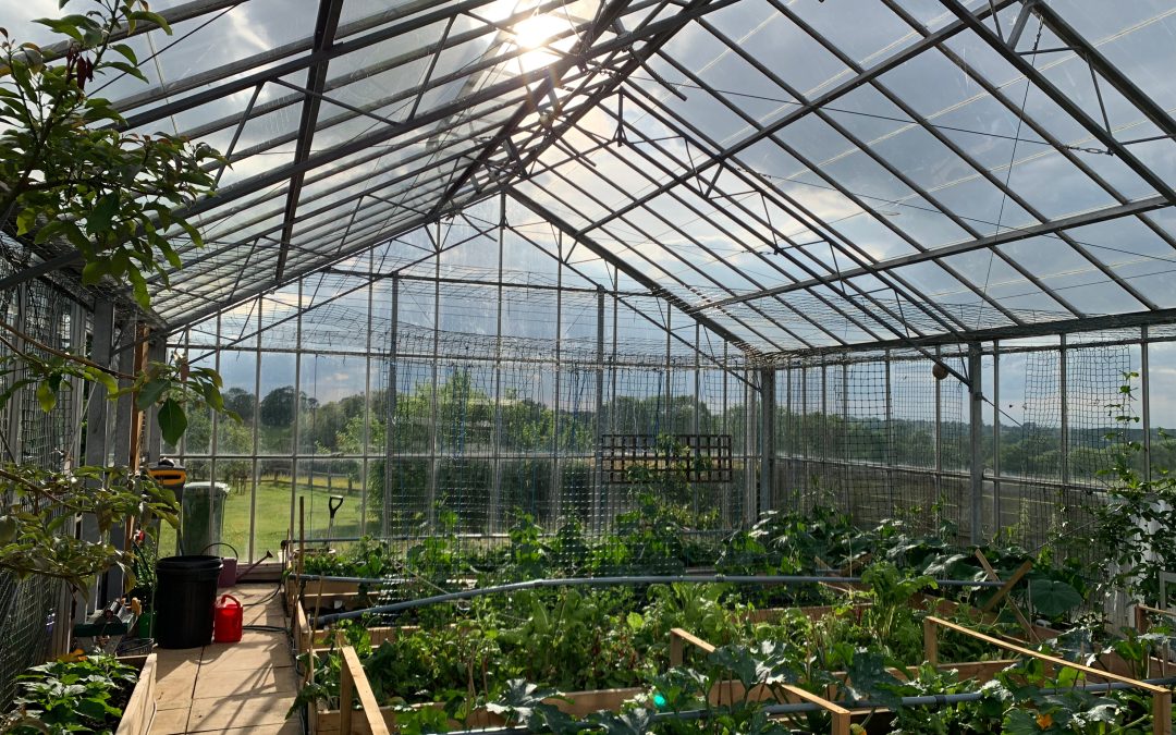 Repairing Cracked Glass in a Greenhouse with Sylglas Clear Weatherproofing Tape