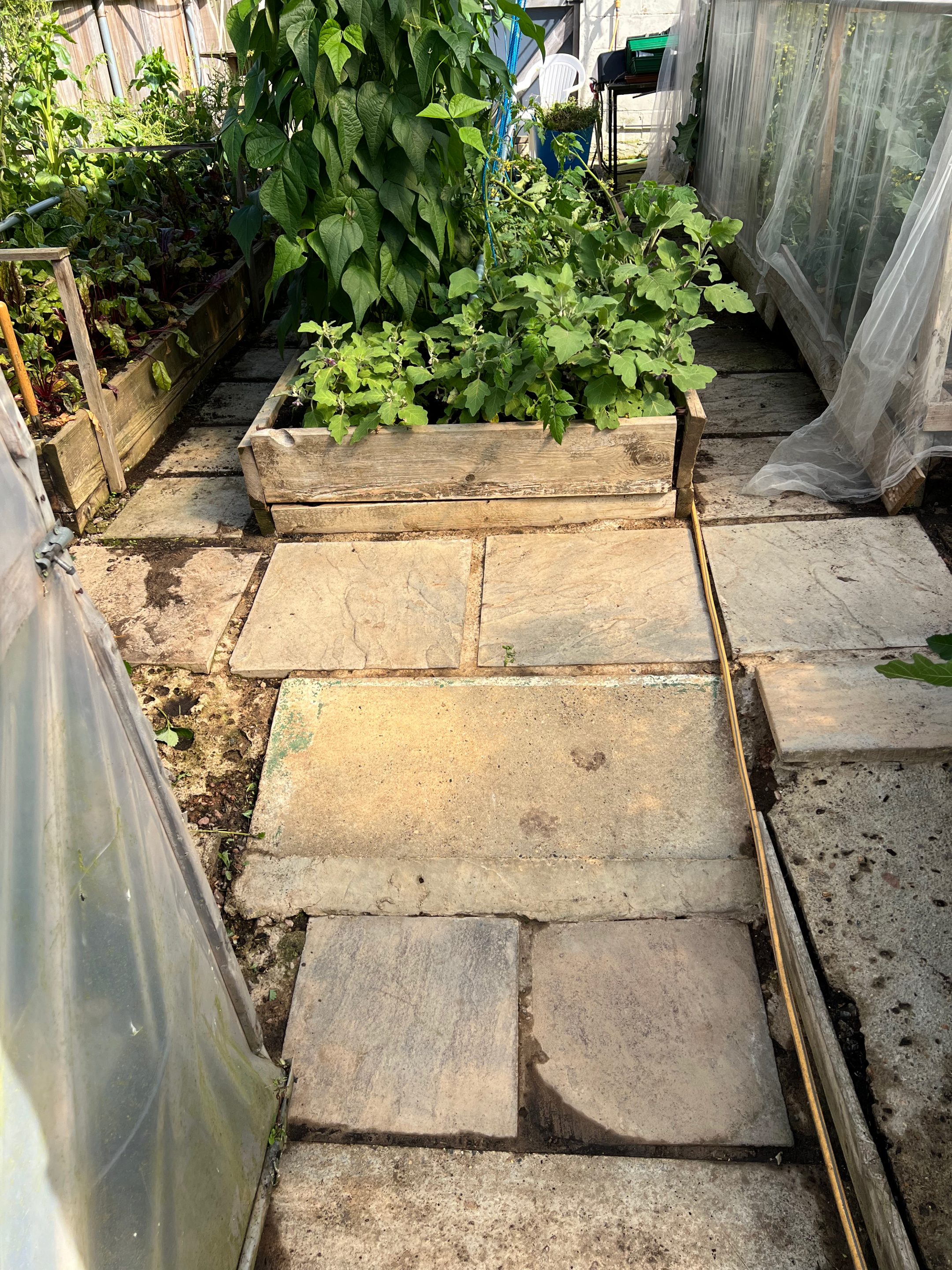 Path leading into Polytunnel prior to application of Sylglas Anti-Slip Tape