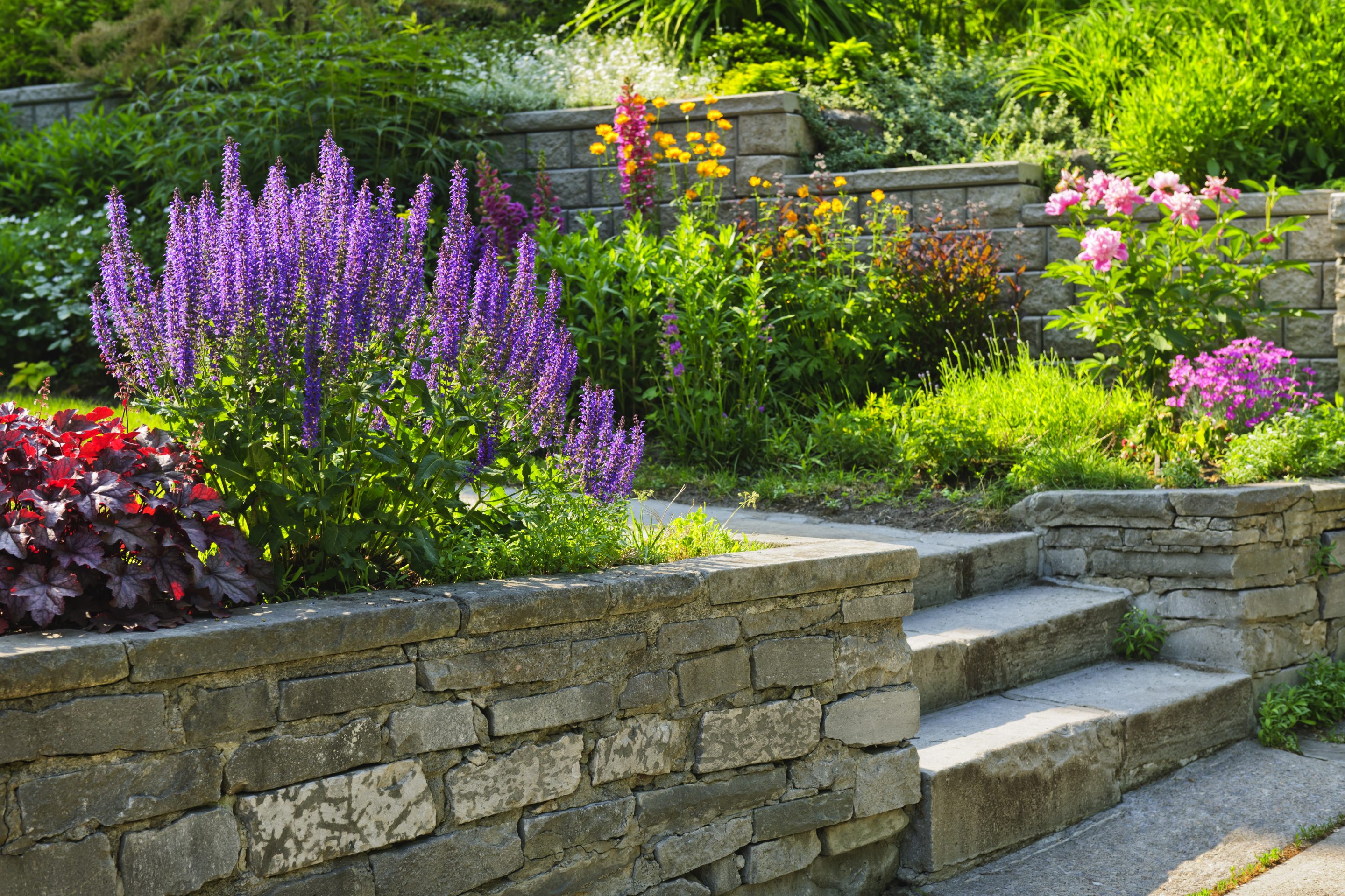 Garden steps